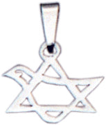 Biblical 'Dove of peace' Silver Star Pendant - Made in Jerusalem - Biblicaljewels