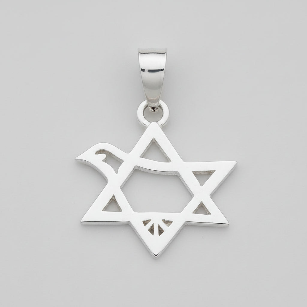 Dove of Peace star (Genesis 8/11) silver - Biblicaljewels