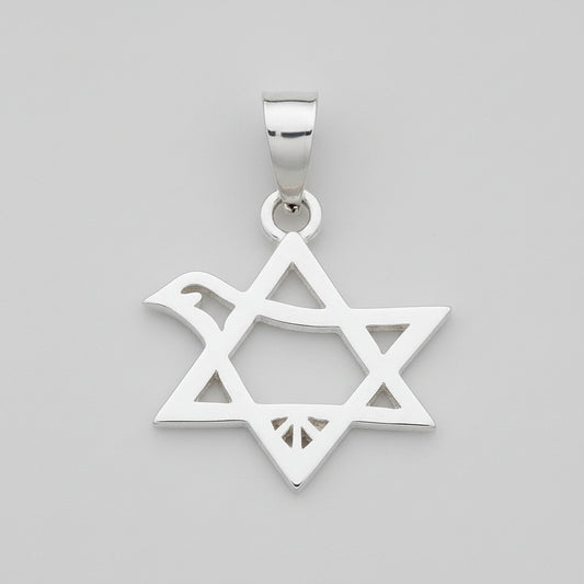 Dove of Peace star (Genesis 8/11) silver - Biblicaljewels
