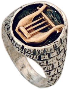 Gold Harp of David set in lite silver ring made in Jerusalem