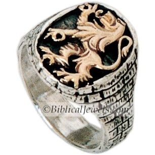14k Gold 'Lion of Judah' Set in a small 'Jerusalem' Sterling Silver Ring 