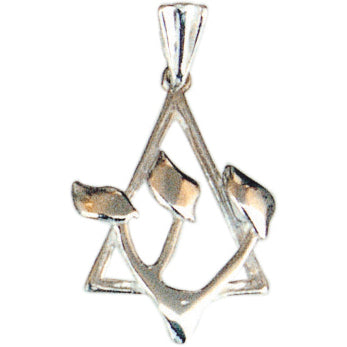 Shin - El Shaddai" in star of David silver - Biblicaljewels